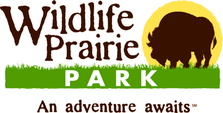 This image has an empty alt attribute; its file name is WPP-JPEG-Full-Color-Logo-CKMY-768x391.jpg